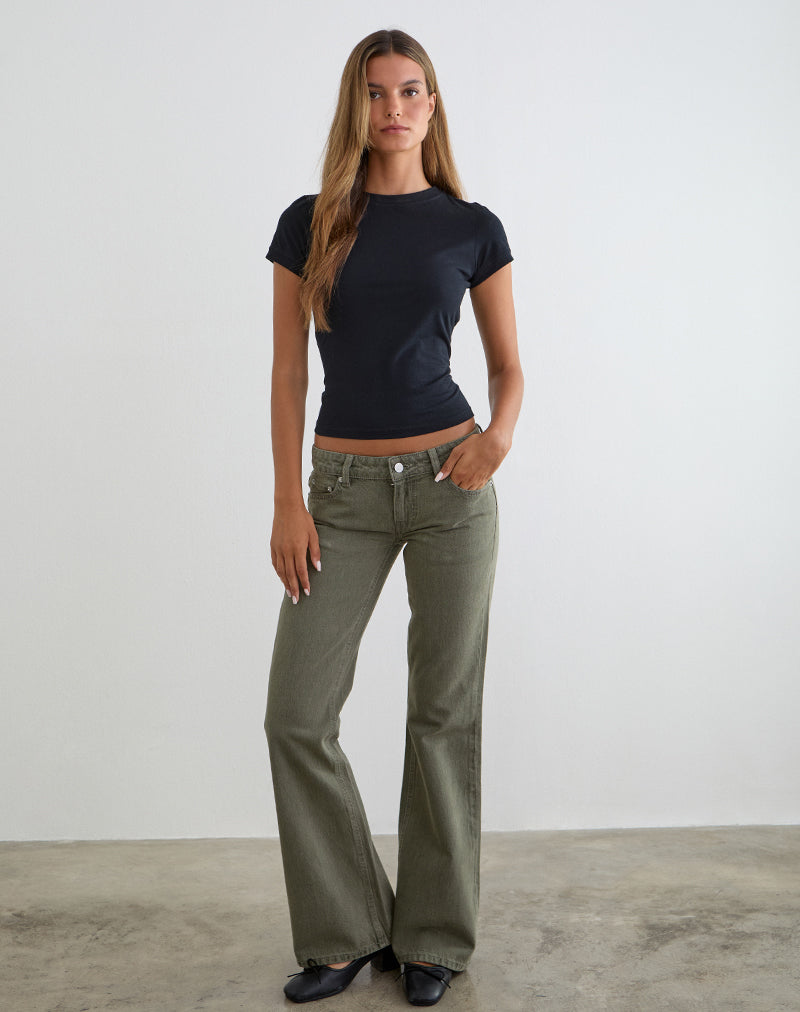 Extra Low Rise Flare Jeans in Olive
