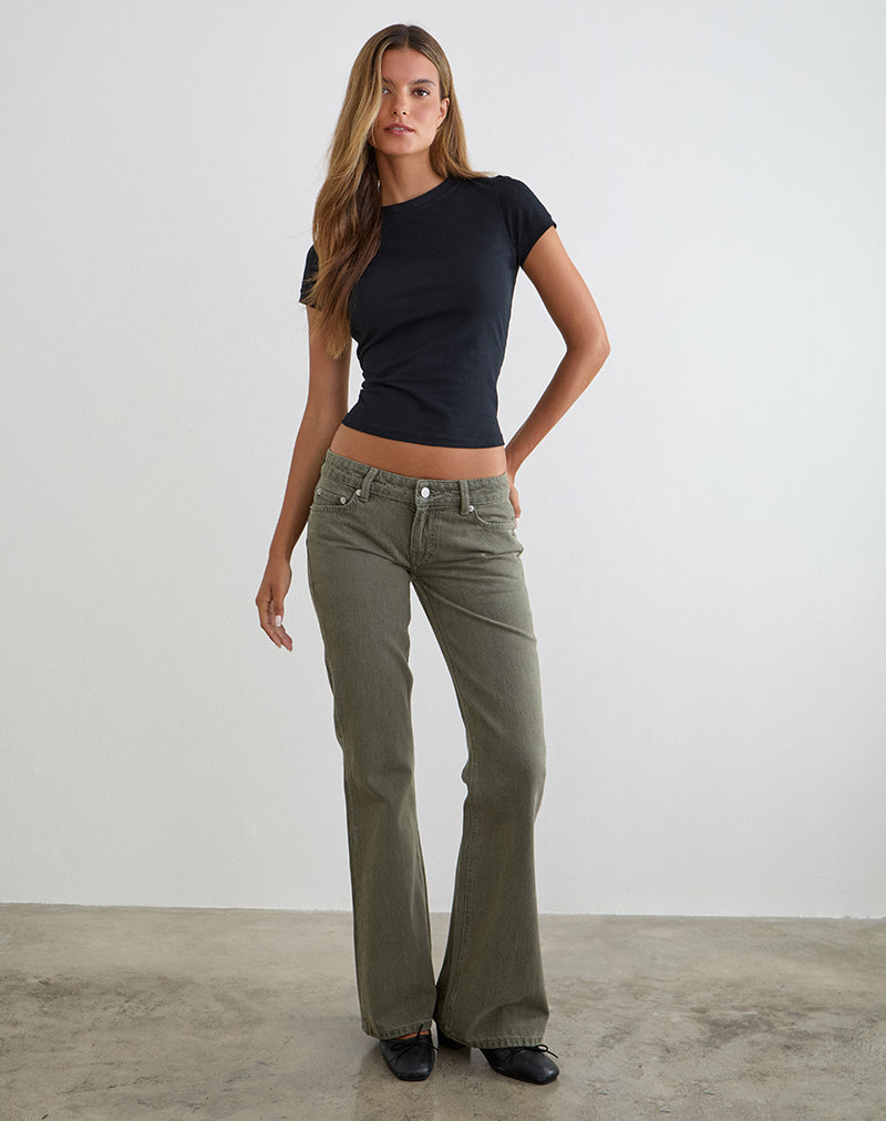 Extra Low Rise Flare Jeans in Olive